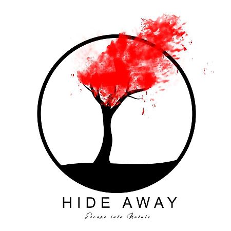 Hide Away Cottages ウーティ エクステリア 写真