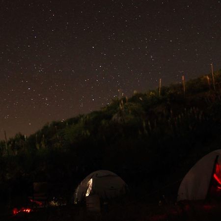 Hide Away Cottages ウーティ エクステリア 写真