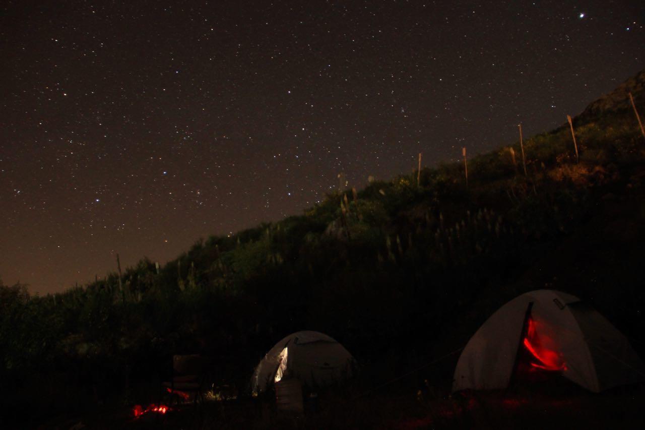 Hide Away Cottages ウーティ エクステリア 写真